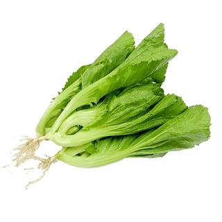 Hạt giống cải bẹ mào gà