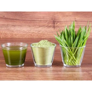 Bột mầm lúa mạch Grass Barley YAMAMOTO 3gx44 gói Nhật Bản - Gyomu Japan