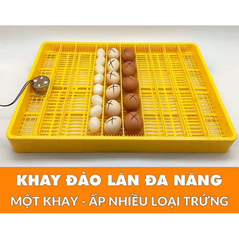 Máy ấp trứng Ánh Dương Cao Cấp E200 - Đảo Lăn 180 độ - Tặng  Gói Thuốc Úm Gà