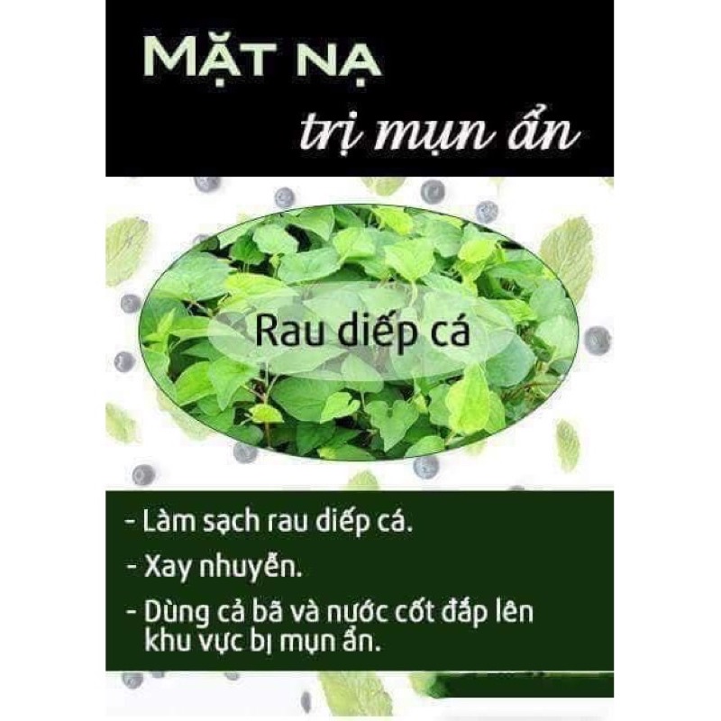 100g Bột rau diếp cá sấy lạnh nguyên chất