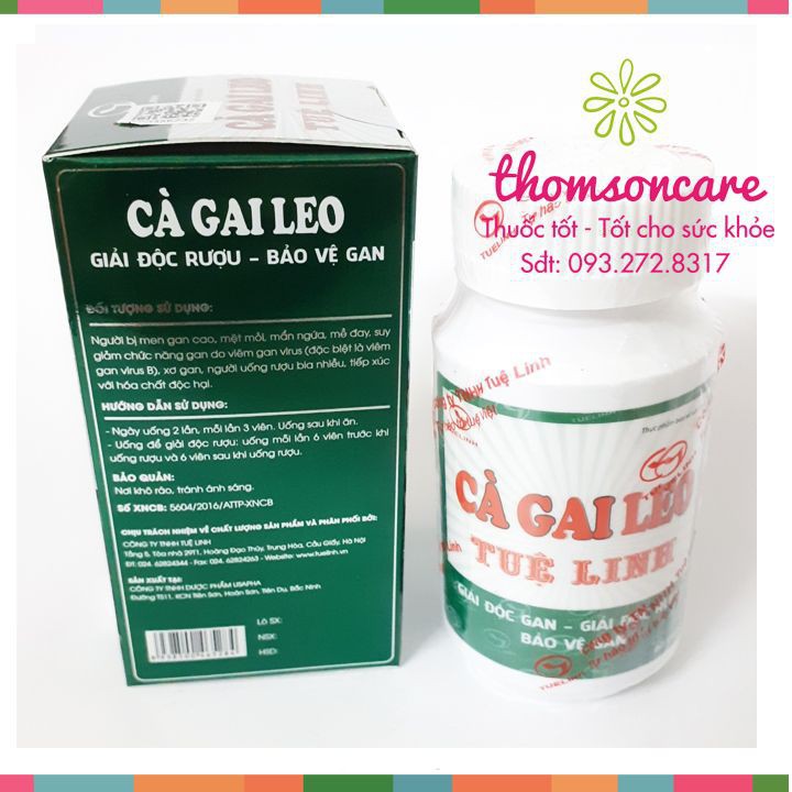 Cà gai leo Tuệ Linh - Giải độc gan - Chính hãng Tuệ Linh - Lọ 60 viên, hạ men gan