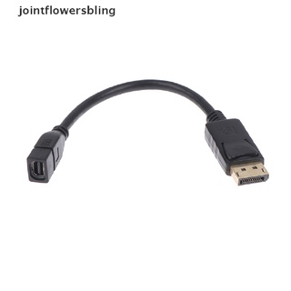 jointflowersbling DisplayPort to Mini DisplayPort Extension Cable DP Male to Mini DP FemaleAdapter JLG