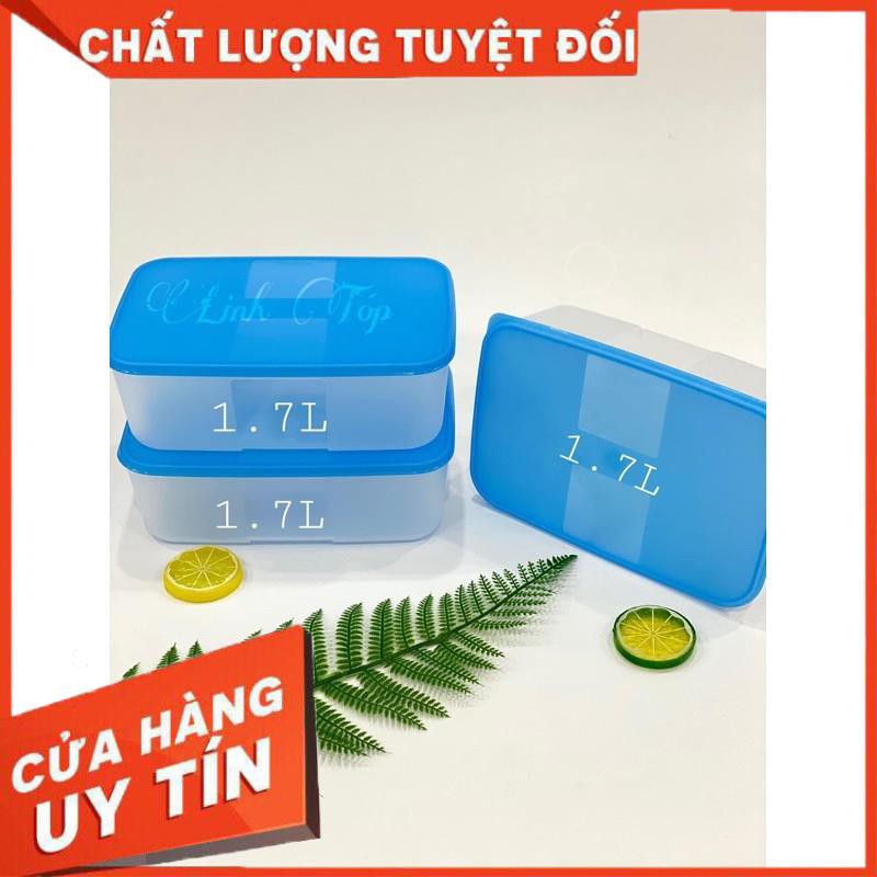 Hộp trữ đông 250ml, 650ml, 1.5l, 3.1l Tupperware