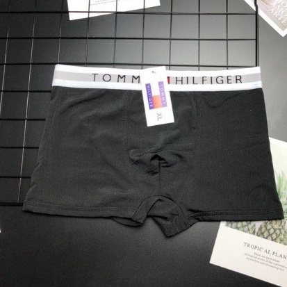 Quần lót Nam TOMMY chất thun lạnh mặc cực mát siêu co dãn cao cấp TD_73