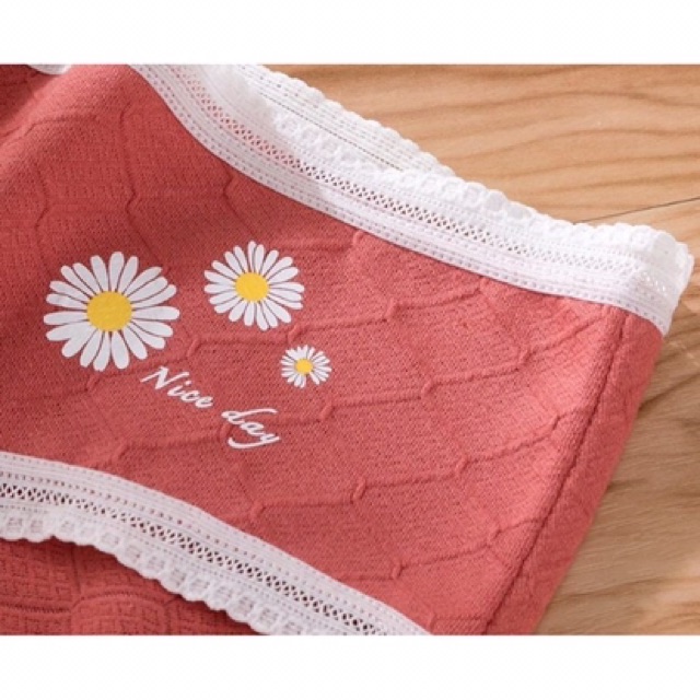 MỚI NHẤT*Quần lót cotton thông hơi cúc họa mi kháng khuẩn