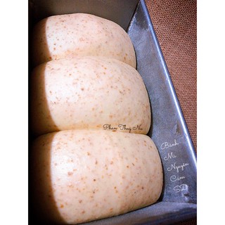 Bột mì nguyên cám hữu cơ