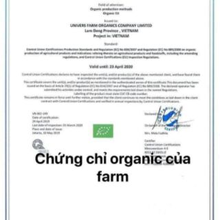 Bột sinh tố rau cần tây isito