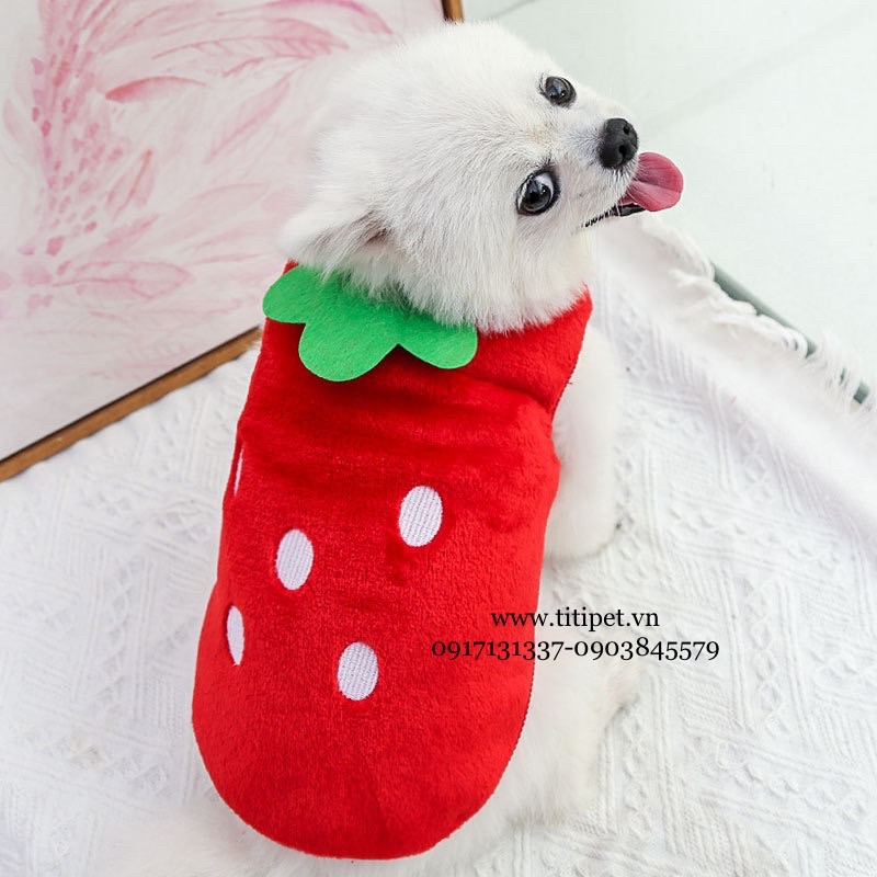 Áo Bông Xinh cho Thú Cưng, chó mèo, sát nách thoải mái, dễ thương