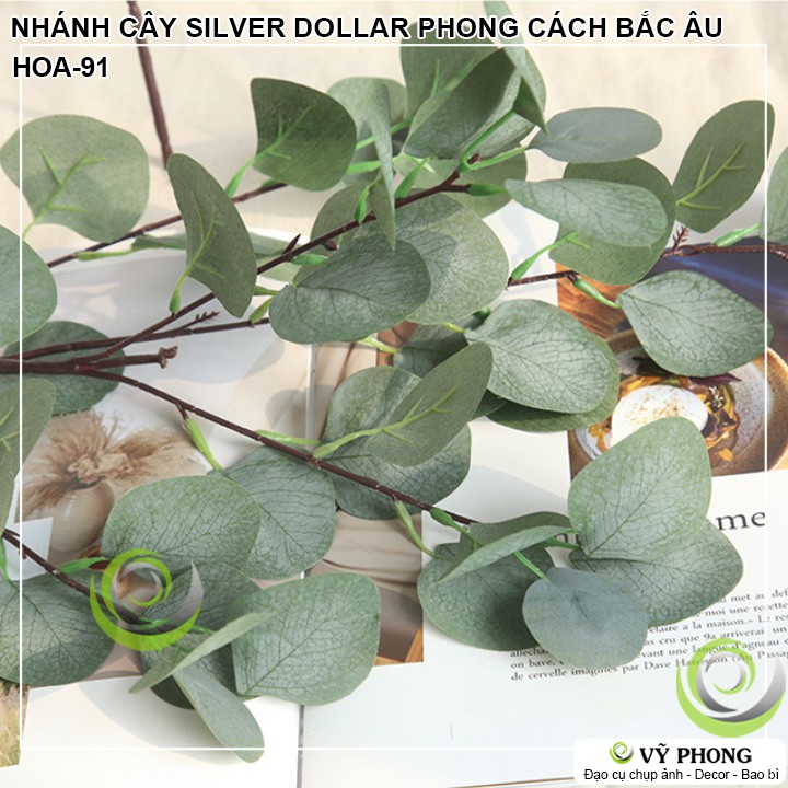 CÀNH LÁ CÂY SILVER DOLLAR PHONG CÁCH BẮC ÂU TRANG TRÍ ĐẠO CỤ CHỤP ẢNH SẢN PHẨM INS HOA-91