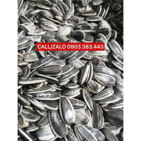 1KG Hạt Hướng Dương Size Trung Dành Cho Vẹt Trung Và Lớn