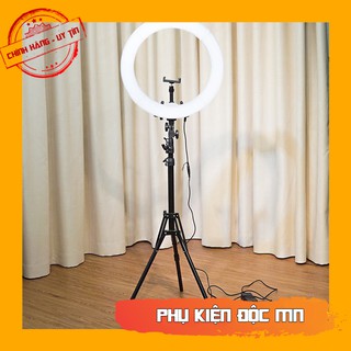 Đèn live stream 35cm dài 2m1