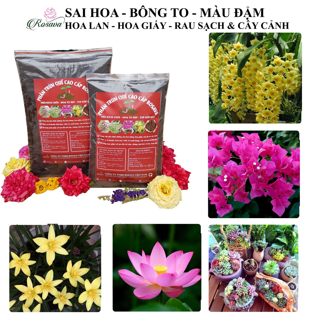 Phân trùn quế hữu cơ vi sinh ROSAVA bón cho rau, hoa hồng, cây cảnh, hoa giấy, lan, sen đá