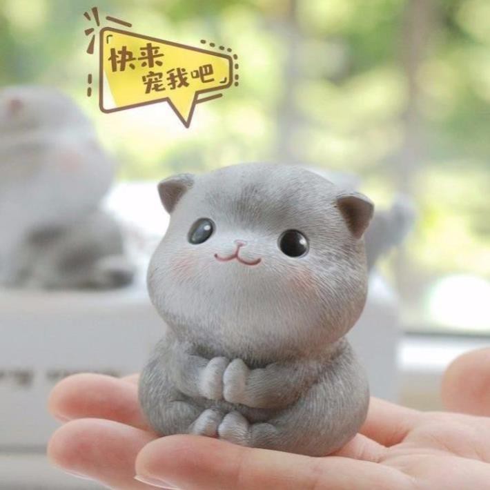 Mèo Nằm Ngồi Ngửa Biểu Cảm Dễ Thương Quà Sinh Nhật Trang Trí Lưu Niệm