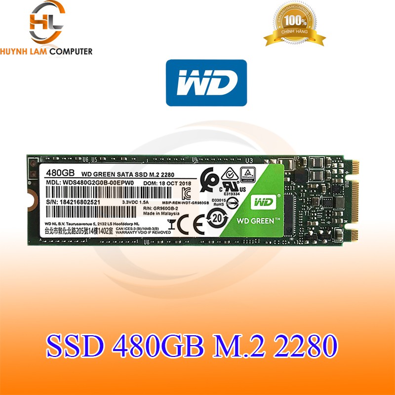 [Mã ELMS05 giảm 5% đơn 300k]Ổ cứng SSD 480GB WD M2 2280 Green tốc độ cao - FPT phân phối