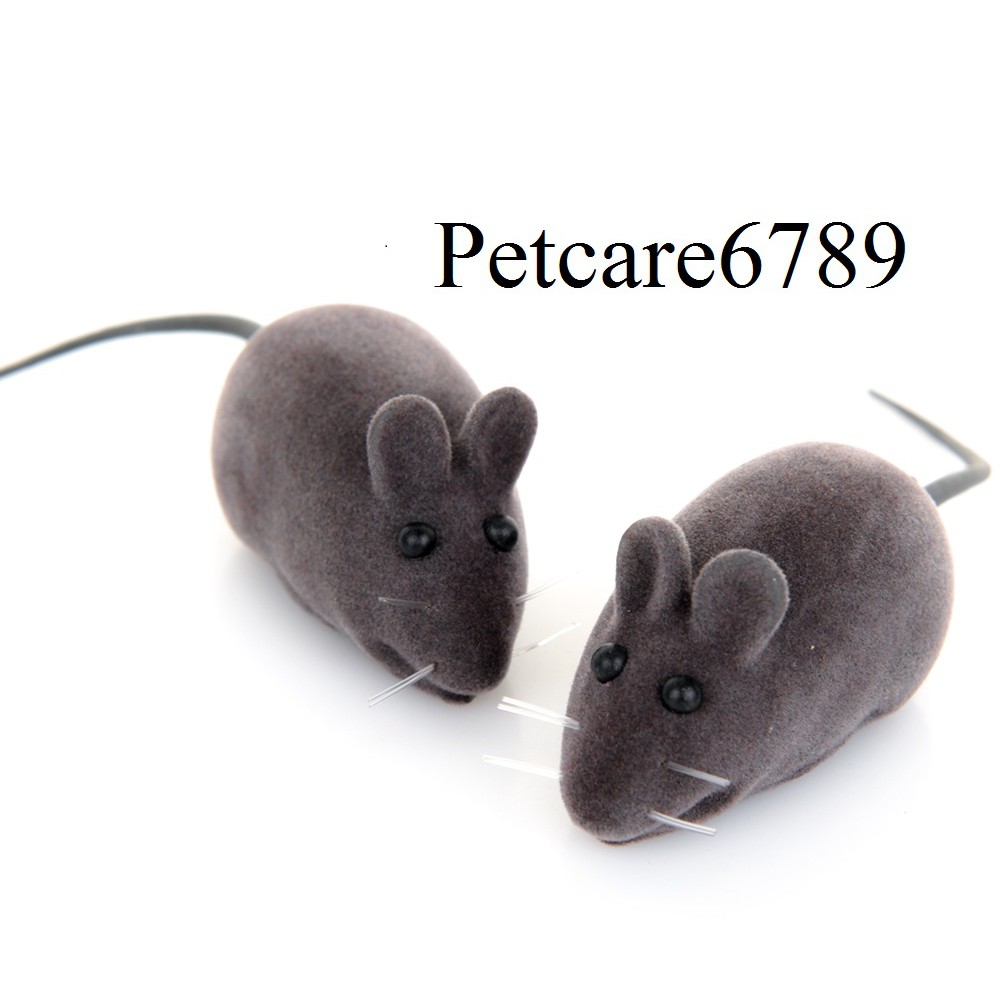 ĐỒ CHƠI MÈO CHUỘT