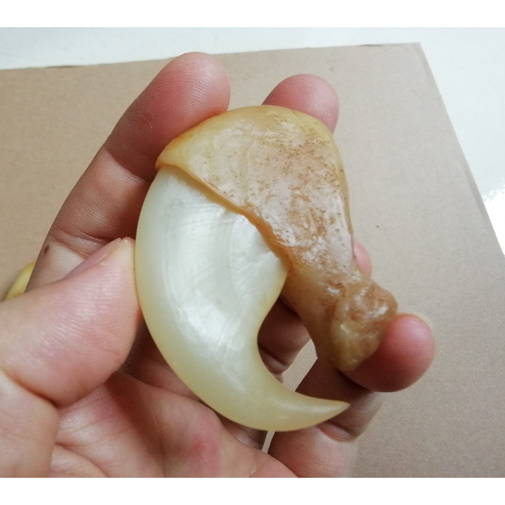 Móng cọp nhân tạo 5.5cm