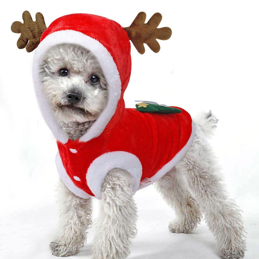 Bộ Đồ Hóa Trang Ông Già Noel Xinh Xắn Dành Cho Thú Cưng