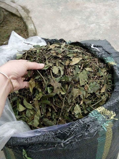 Chè vằng sẻ chuẩn ( sao vàng hạ thổ ) 1kg