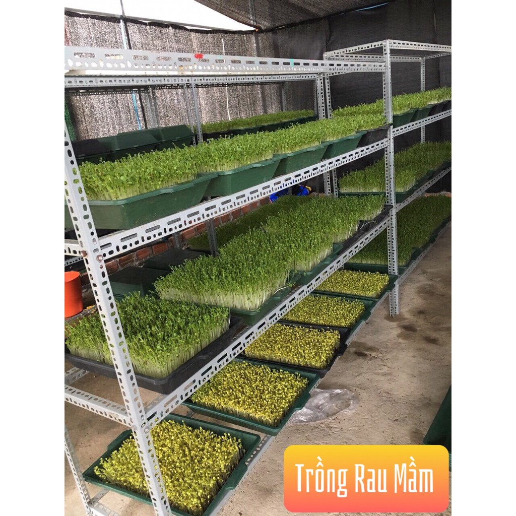 Mụn dừa ép bánh trồng rau, ươm cây 450gr/1 bánh