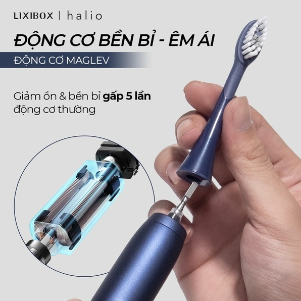 Combo Bàn Chải Điện Làm Trắng Răng Halio Sonic PRO Midnight Blue & Set 2 Đầu Bàn Chải