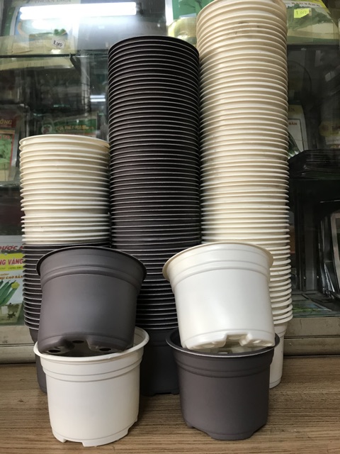 COMBO 10 chậu nhựa mềm ( trồng sen đá, xương rồng ) màu ngẫu nhiên