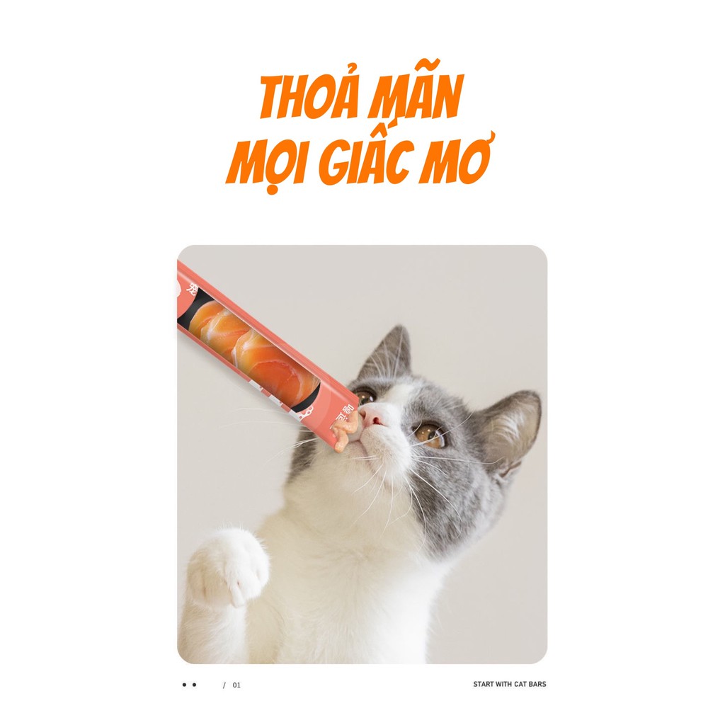 Súp thưởng cho mèo Cat Snack - soup thưởng  3 vị mới siêu thơm ngon