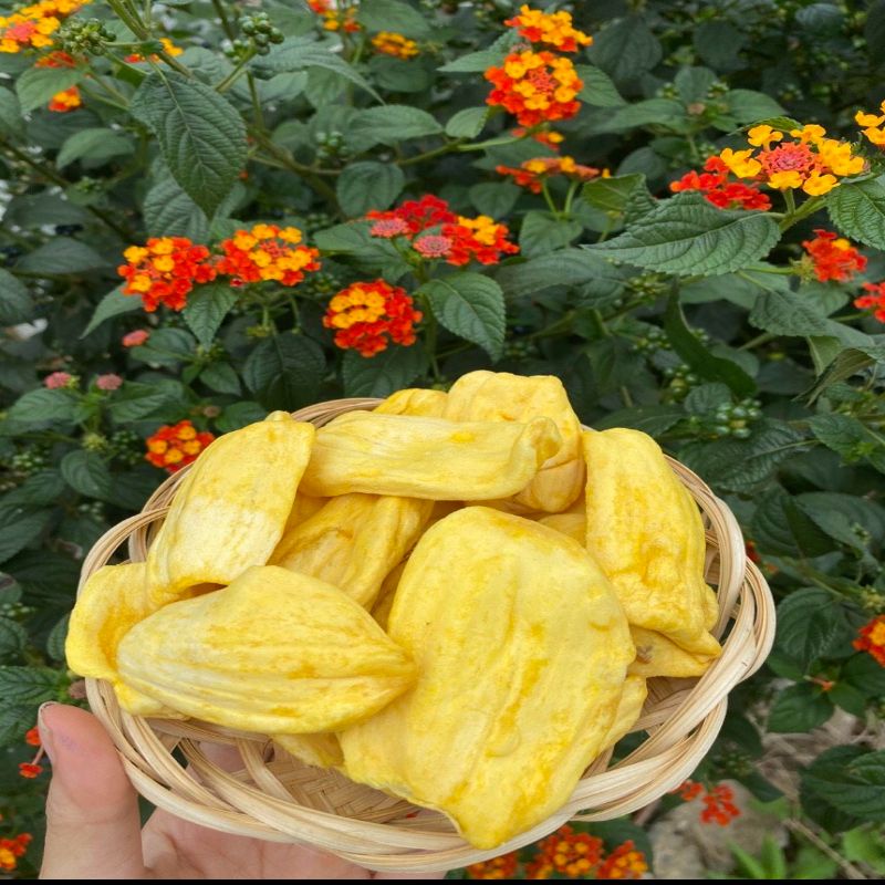 Mít sấy giòn Đà Lạt nguyên cánh 500g- Loại 1 Hàng Xuất Khẩu Đặc sản Đà Lạt