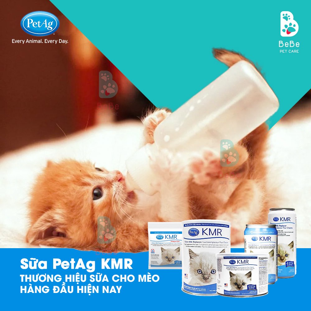 KMR Pet Ag USA - Sữa Bột &amp; Sữa Nước Cao Cấp Cho Mèo - Nhập Khẩu Chính Hãng