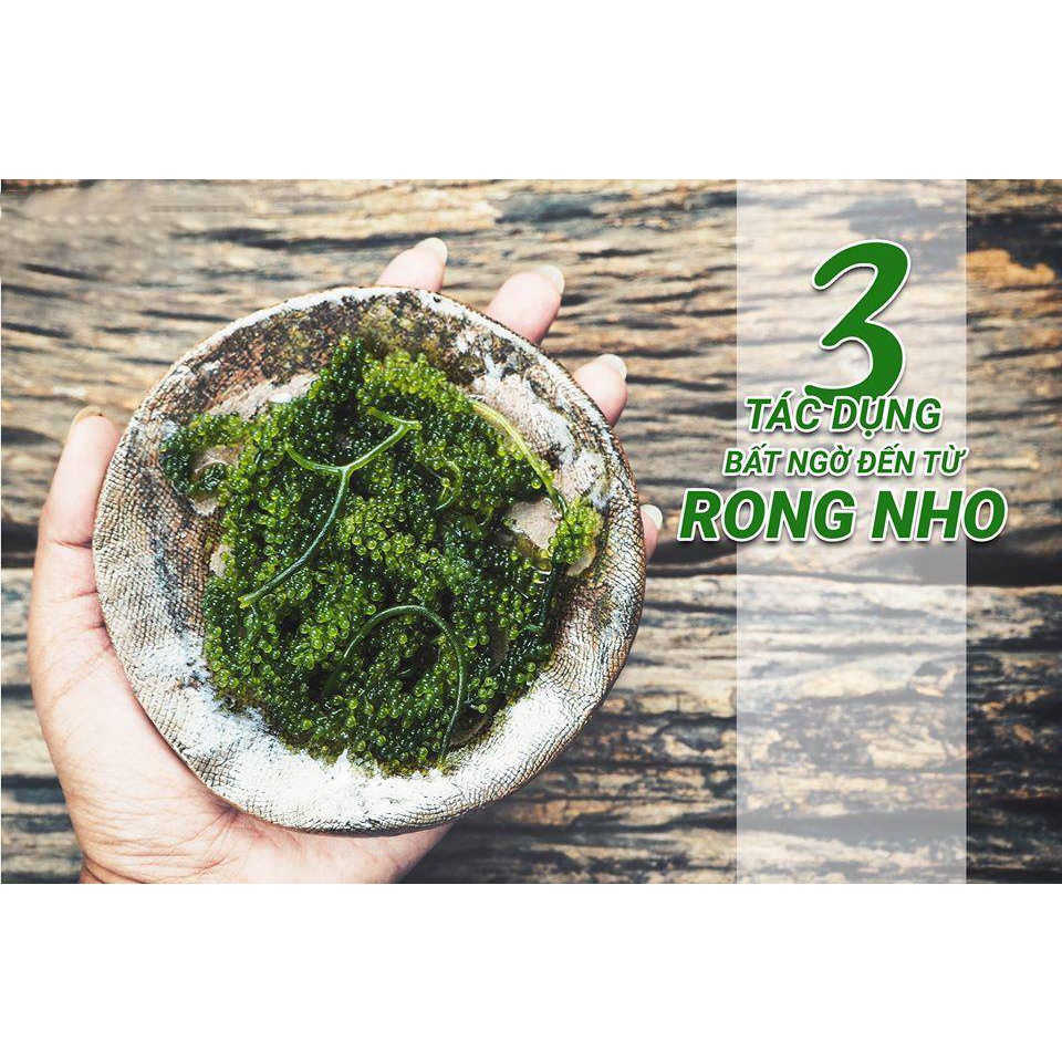 Rong Nho Tách Nước cách nhiệt - Vương Quốc Tỏi - Hộp 25g x 6 gói, Thực phẩm cho sức khoẻ