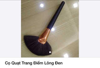 Cọ Quạt, Cọ xoè