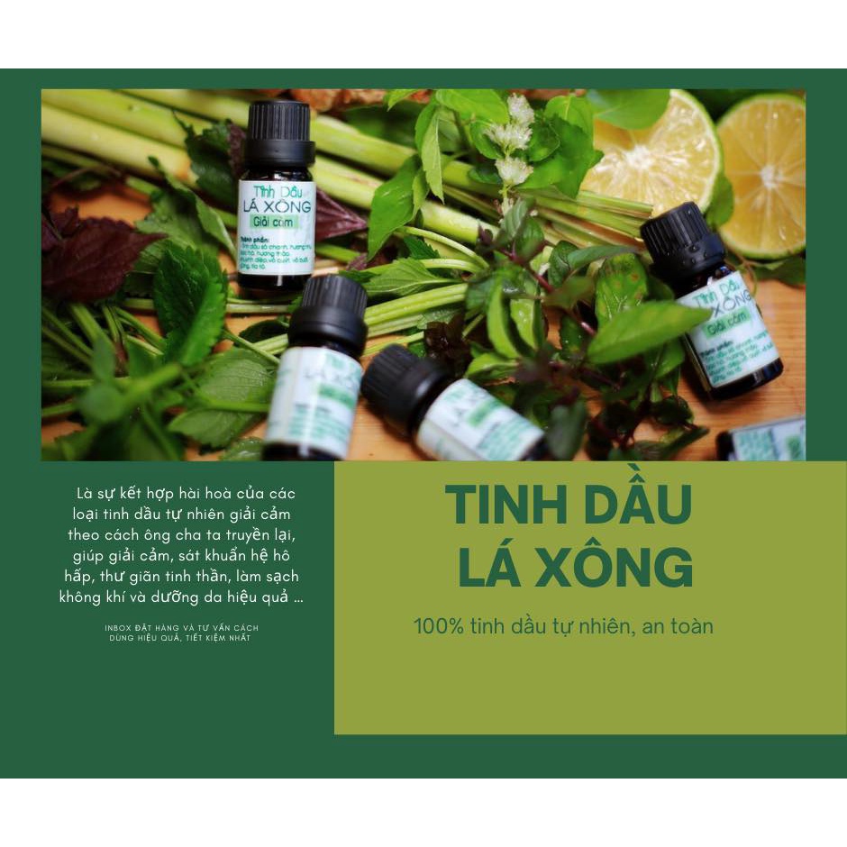 Tinh dầu lá xông  - món quà từ Nhà của thời thanh xuân