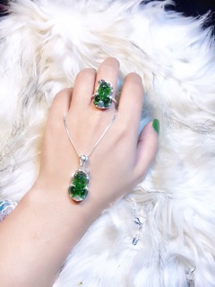 BỘ TỲ HƯU CÁC MÀU