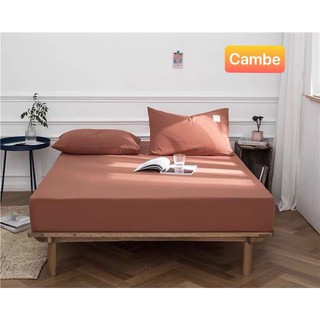 Bộ Ga Gối Cotton Tici (01 Ga, 02 Vỏ Gối Nằm)