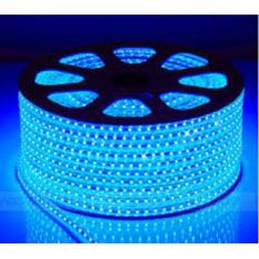 Cuộn đèn led dây 4040 dài 100m ánh sáng xanh dương. Décor trang trí phòng ngủ, ngoài trời