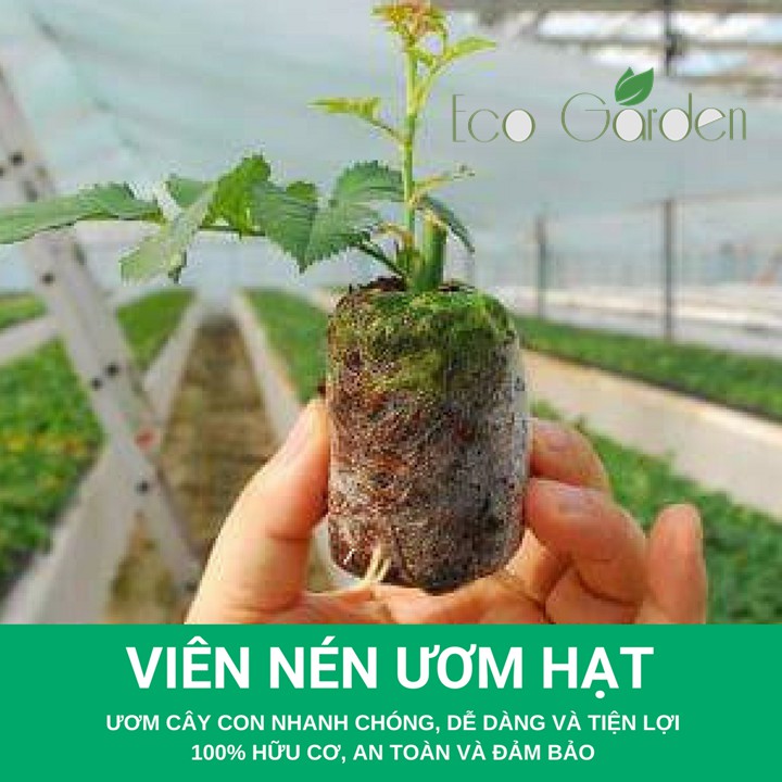 Combo 105 Viên nén xơ dừa, viên nén ươm hạt