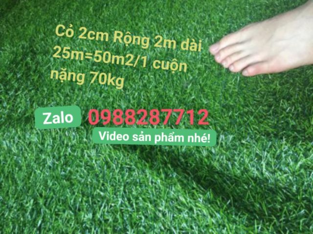 Combo 16m2 thảm cỏ 2cm