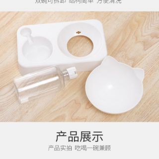 Bộ chén ăn bình nước tự động cho mèo