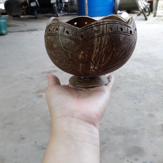 Chậu gáo dừa miệng kiểu có đế