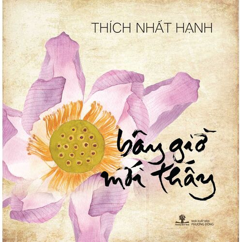 Sách Bây Giờ Mới Thấy