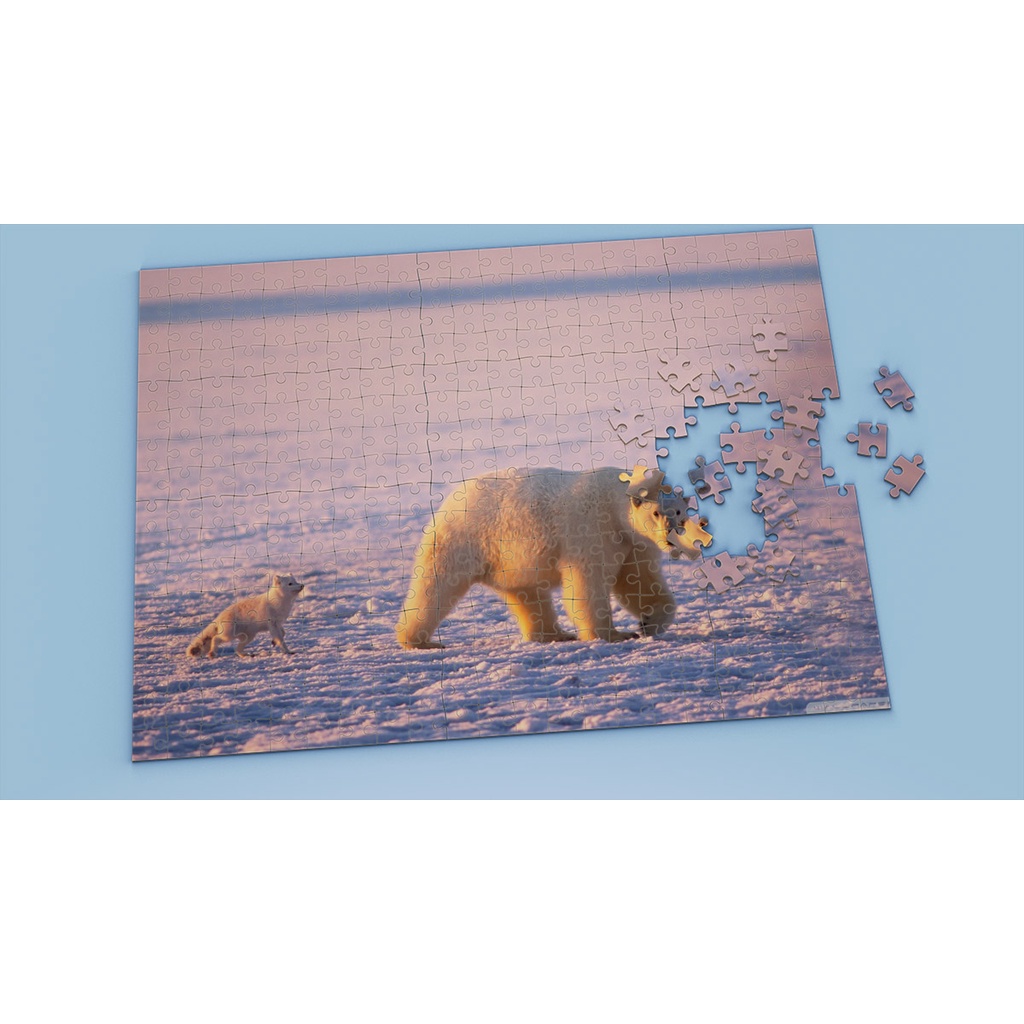 Tranh ghép hình Animal - Tranh ghép hình POLAR BEAR - Mẫu 9 - Nhận in hình tranh ghép theo yêu cầu