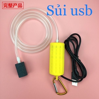 Sủi oxy Cổng USB