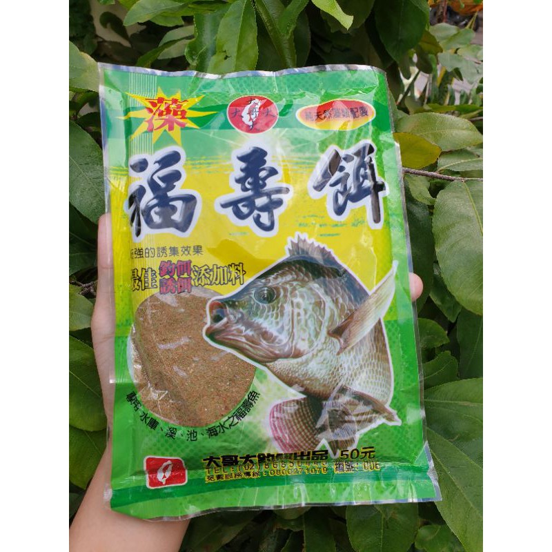 Rô phi Tảo Đại Ca Đại
