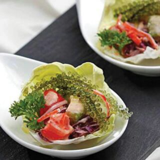 RONG NHO 1 KG