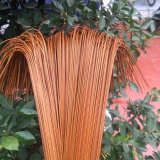 Combo 50 Nan sửa lồng khuyên