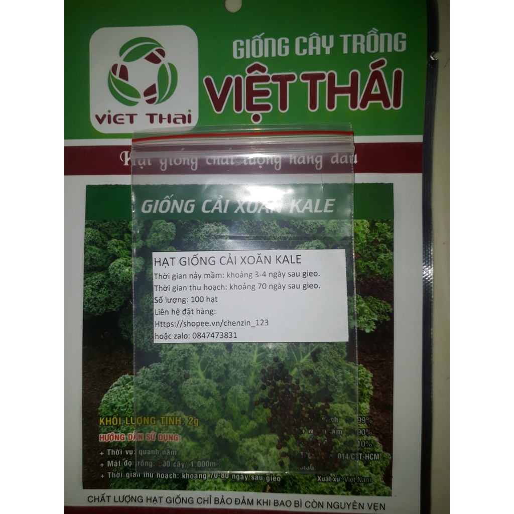 ƯU ĐÃI ĐẶC BIỆT_HẠT GIỐNG CẢI XOĂN KALE_gói 2g (khoảng 400 hạt)