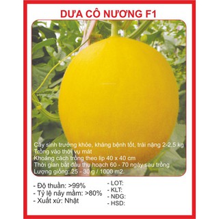 Hạt giống dưa kim cơ nương 10 hạt