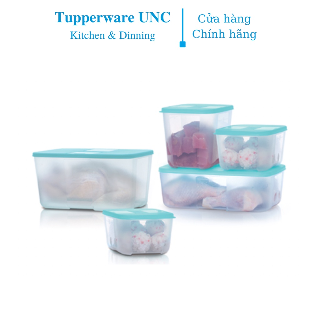 Bộ hộp Trữ đông Tupperware Paradise 5 hộp