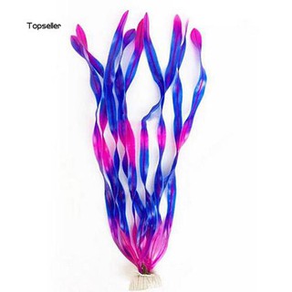 Cây thủy sinh trang trí hồ cá