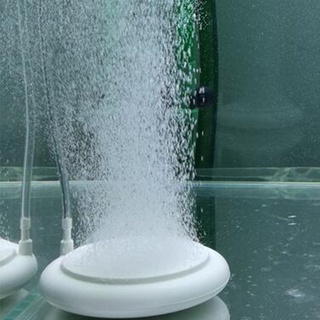 SỦI DĨA OXY NANO SIÊU MỊN JENECA