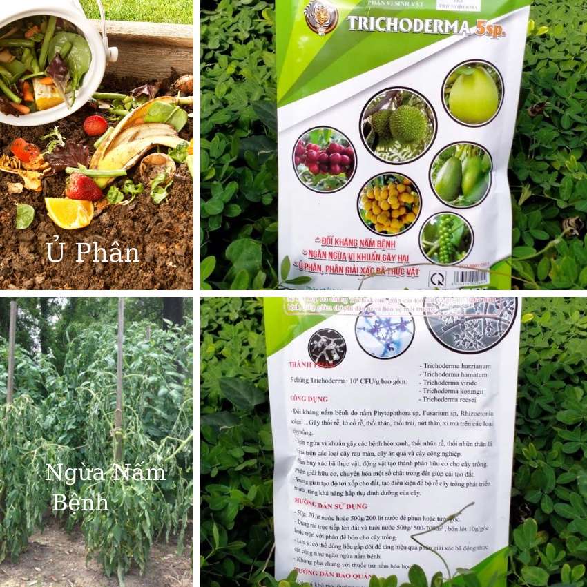 TRICHODERMA 5 Chủng Bột Hòa Tan, Ủ Phân, Cải Tạo Đất, Ngừa Nấm Bệnh - Gói 500gr